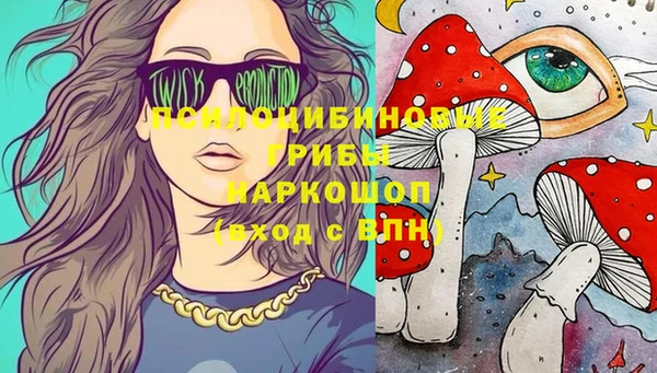 мет Арсеньев
